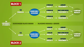 Types of Experimental Designs 33 [upl. by Irek]