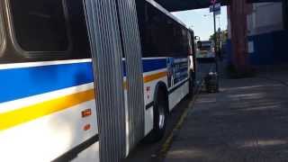 BeeLine Bus Eastchester Bound Neoplan AN460 507 Route 45 at Pelham Bay Park Station [upl. by Schiffman]