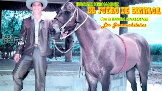 El Potro De Sinaloa  15 Exitos Canciones y Corridos [upl. by Tillfourd181]