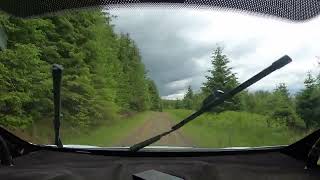 Kielder Forest Rally 15 June 2024 Falstone 2 SS4 [upl. by Olodort246]