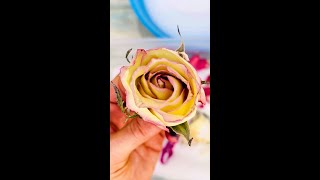 The Best Way to Dry Flowers Dry Flowers with Silica Gel [upl. by Fernyak289]