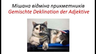 Мішана відміна прикметників Gemischte Deklination der Adjektive [upl. by Magen]