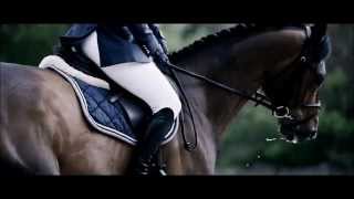 Equitation  bien plus quun sport  une passion [upl. by Ahtaga]