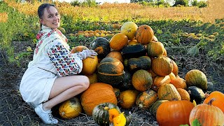 Quiet Countryside Life Harvesting and Cooking Delicious Pumpkin Porridge [upl. by Stacy]