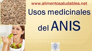 Usos medicinales del ANIS [upl. by Shurwood]