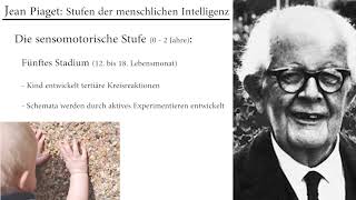 Jean Piaget Stufen der menschlichen Intelligenz [upl. by Franz899]