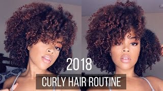 Curly Hair Routine  Healthy Defined 3c4a Curls [upl. by Novanod]