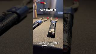 AudioAdvice Live 2024 AudioQuestUS audiophile [upl. by Vally47]