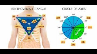 Einthoven Triangle and Einthoven Law [upl. by Berk336]