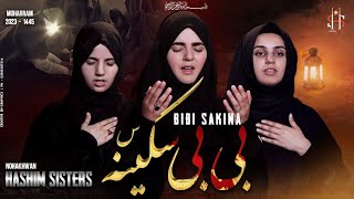 New Nohay 2023  Bibi Sakina  Hashim Sisters Noha 2023  Muharram 1445  2023  Piyasi Sakina [upl. by Mundt731]