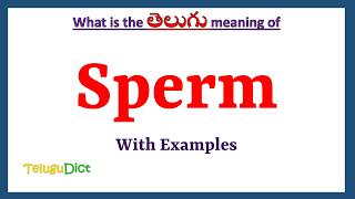 Sperm Meaning in Telugu  Sperm in Telugu  Sperm in Telugu Dictionary [upl. by Lacim]