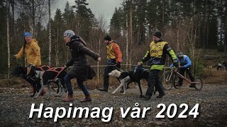 Hapimag vår 2024 [upl. by Uhn]