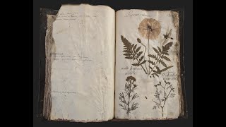 Il Centro Studi Piemontesi racconta Herbarium del 1749 di Frà Bottalini [upl. by Alisander]