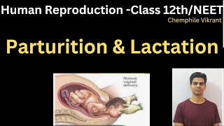 Parturition and Lactation chemphilevikrant [upl. by Dani881]