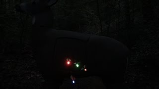 Lighted nock test [upl. by Esinart]