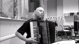 Bluesette accordion cover [upl. by Eidnas]