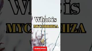 What is Mycorrhiza shorts facts biology [upl. by Persson]