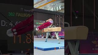 Nikita Nagornyy  Mastering the Pommel Horse [upl. by Kean]