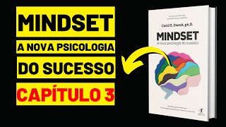 03  MINDSET  A Nova Psicologia do Sucesso  Carol S Dweck  CAPÍTULO 3 [upl. by Liddle]