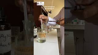 Silver nitrate chloride ion test with Practical Guru Monu Sharma [upl. by Hasina771]