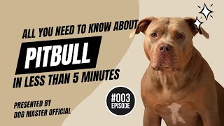 Discover the PITBULL Unveiling the Breeds History amp Unique Characteristics [upl. by Latsyrc]