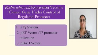 Ecoli Expression Vectors Cloned Gene Under Control of Regulated Promoter λPLT7 pBAD pET vector [upl. by Therese178]