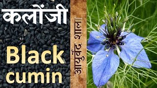 Kalonji ke fay day or upyog  Black Cumin Benefit  Ayurved shala [upl. by Ramak469]