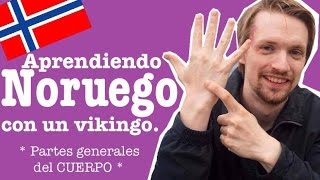 Aprendamos Noruego Básico 4  Partes del Cuerpo  Mexicana en Noruega ♥ Vlog 46 Pame Koselig [upl. by Assirroc]