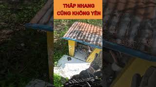 Thắp Nhang Cũng Không Yên  Xe Ôm Vlog shorts [upl. by Phillada]