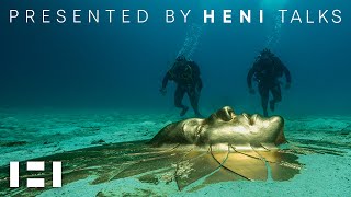 Damien Hirst Treasures from the Wreck of the Unbelievable  Presented by HENI Talks [upl. by Eiramllij]