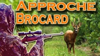 Approche aux brocard  Roebuck hunting  Caméra embarquée  ChasseTV [upl. by Beane]