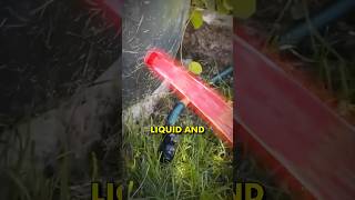 Why Does This Liquid Look Like Its Not Moving [upl. by Down]