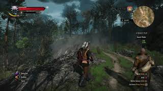 The Witcher 3 Escort Thaler Deadly Plot Quest [upl. by Atinna]