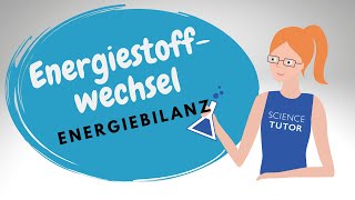 Energiebilanz des Stoffwechsels  ATP aus Reduktionsäquivalenten und Substratkettenphosphorylierung [upl. by Acirederf]