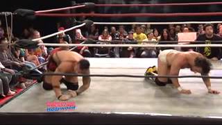 Shaun Ricker vs The World Gauntlet Match [upl. by Akeihsat]