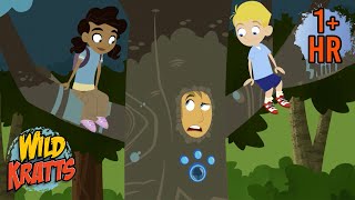 Martin Gets Turned into a Tree  New Compilation  Wild Kratts [upl. by Hsakaa701]