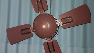 bldc fan ceiling fan 600 mm Jupiter cyclone [upl. by Jaeger317]