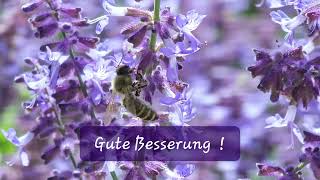 Gute Besserung [upl. by Sakram]