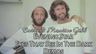 Barry Gibb Maurice Gibb  Evening Star [upl. by Whetstone]