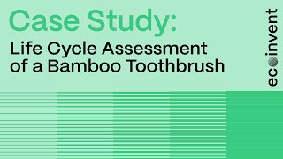 Case Study Life Cycle Assessment of a Bamboo Toothbrush [upl. by Shewmaker]