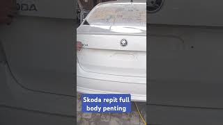 Skoda repit full body painting [upl. by Neenahs]