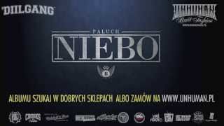 13 Paluch ft Gedz  BOR prod Donatan [upl. by Ric]