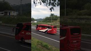 Agra Mas BM045 tim Wonogiri‼️ agramas jetbus adiputro busakap shorts [upl. by Eirrac106]