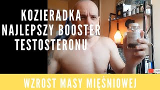 KOZIERADKA  WPŁYW NA TESTOSTERON I BUDOWANIE MIĘŚNI  MOJA ANALIZA [upl. by Rafaela]