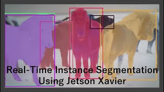 RealTime Instance Segmentation Using Jetson Xavier [upl. by Leahicm225]