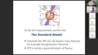 The Flavour Problem  Beyond the Standard Model 2  7  Prof Dr Admir Greljo [upl. by Placeeda]