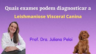 Quais exames podem diagnosticar a Leishmaniose Visceral Canina [upl. by Tessie264]