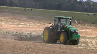 JOHN DEERE 8245R DISKING WITH A JOHN DEERE 637 DISK SCOTT FARMS 2017 PEANUT TILLAGE 2 [upl. by Gunar]