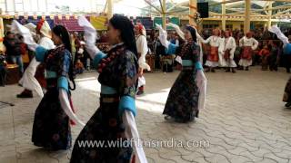 Kham dance of Tibet [upl. by Llerdnek]