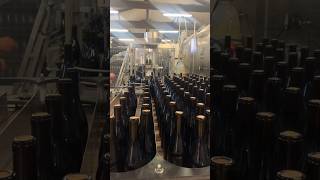 Its bottling time😃👌🎥chateaudumoulinavent wine bottling beaujolais gamay [upl. by Wilmar]